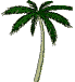 Wiggle Palm
